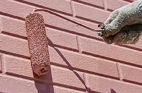 中塗り・上塗り